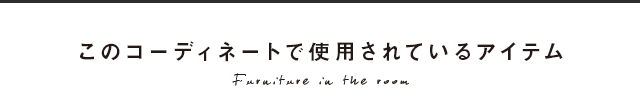 このコーディネートで使用されているアイテム