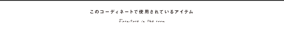 このコーディネートで使用されているアイテム