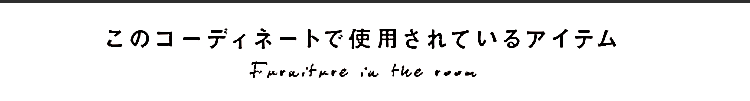 このコーディネートで使用されているアイテム