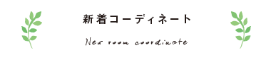 新着コーディネート