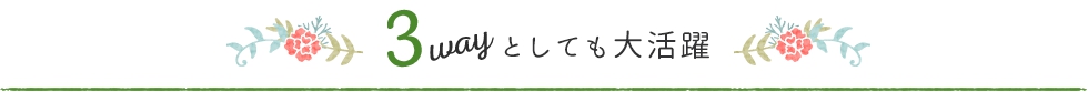 3ウェイとしても活躍