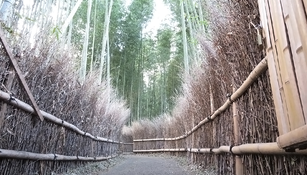 キラリオSAMPO〜京都嵐山をぶらっと散歩〜