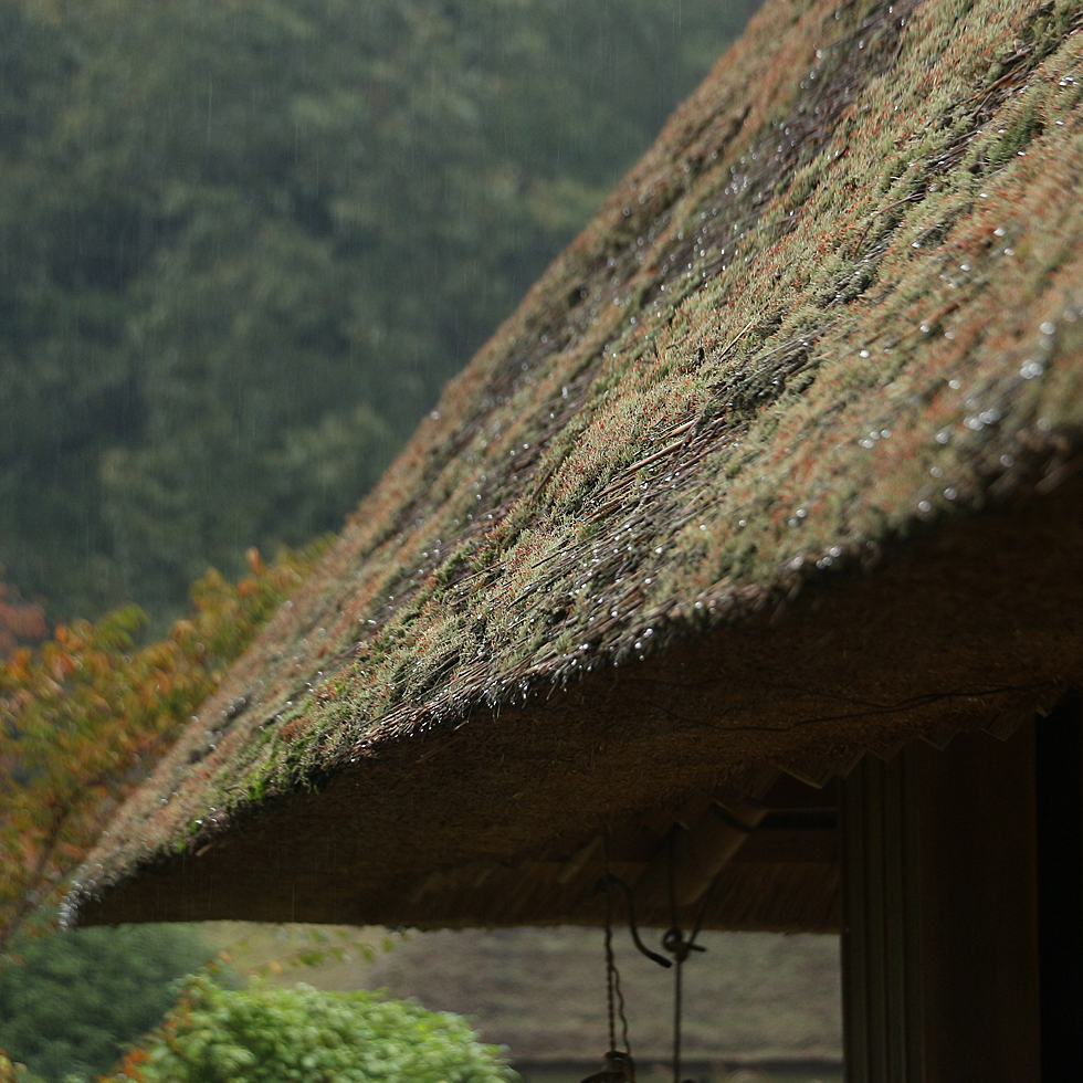 夢は美山を世界遺産br>にすること