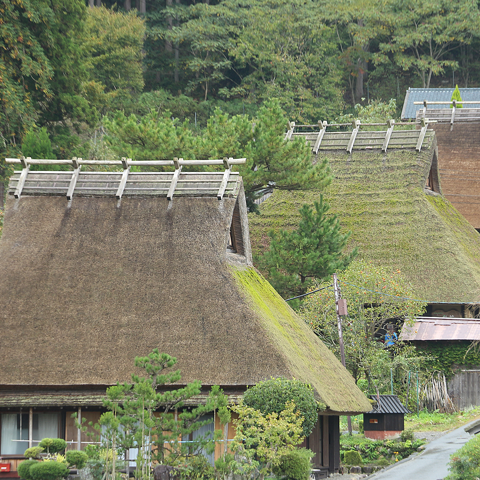 夢は美山を世界遺産にすること