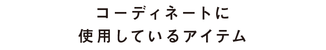 コーディネートに使用しているアイテム